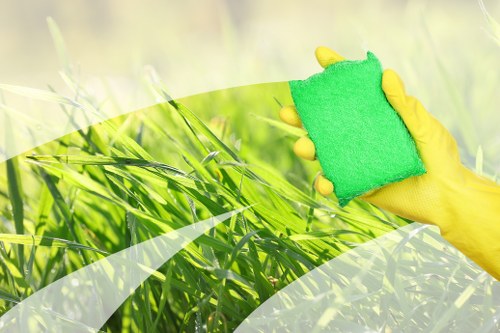 Professional window cleaning service for Bromley homes and businesses