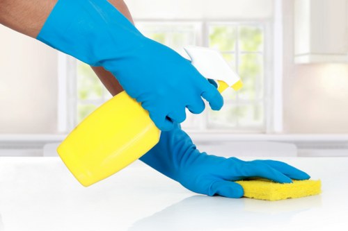 Treating a carpeted hallway in Bromley affected by pet accidents