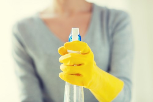Local cleaner working in a Bromley home with access considerations