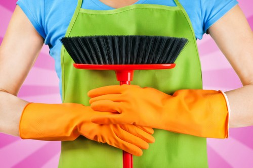 Kitchen appliance cleaning service in a Bromley property