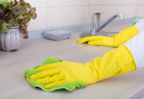 Regular domestic cleaning for flats and houses in Bromley