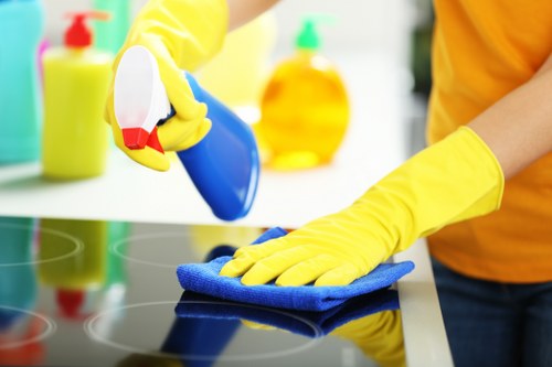 Local gutter cleaning service for Bromley homes and commercial premises