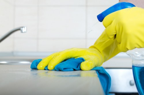 Cleaner removing grease from a built-in oven in Bromley