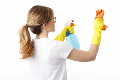 Reach-and-wash window cleaning for a property in Bromley