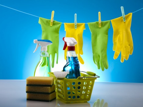 Deep cleaning upholstery to remove pet stains and lingering smells